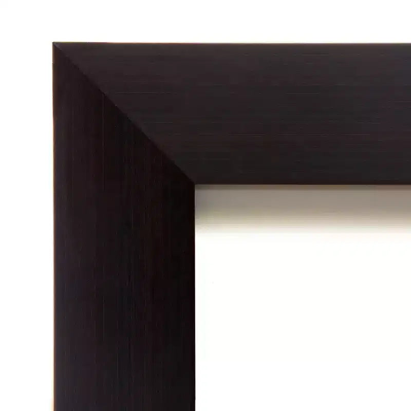Miroir pleine longueur à suspendre, Portico Espresso, en bois, 20 po x 54 po, sans biseau