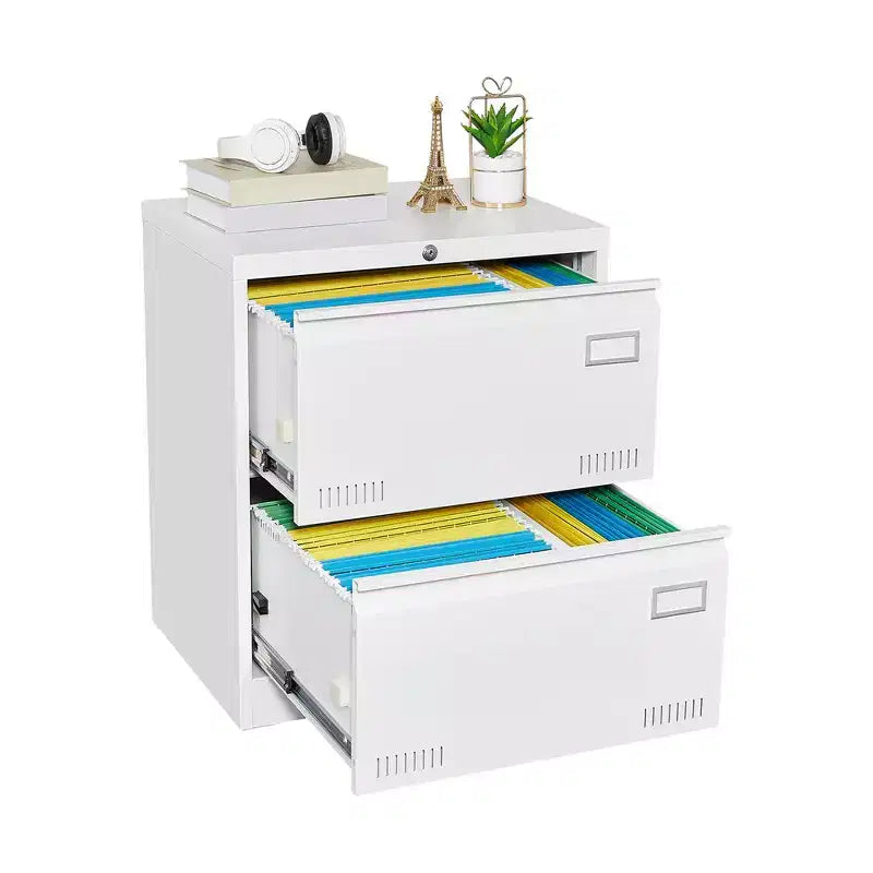 Meuble de classement à 2 tiroirs avec serrure, armoire de classement verticale en métal, armoire de rangement pour dossiers de taille légale/lettre sous le bureau pour le bureau ou la maison